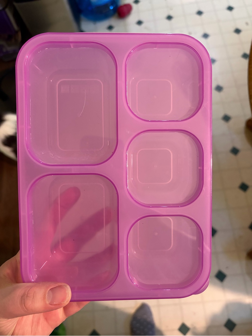 Lunch Containers - Picture 3 of 6